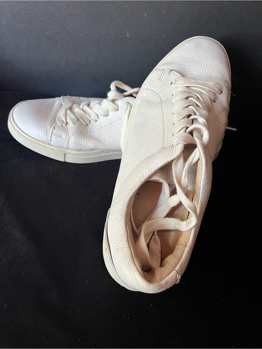 Frye White Leather Ivy Low Lace Sneakers